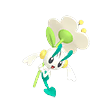 Floette